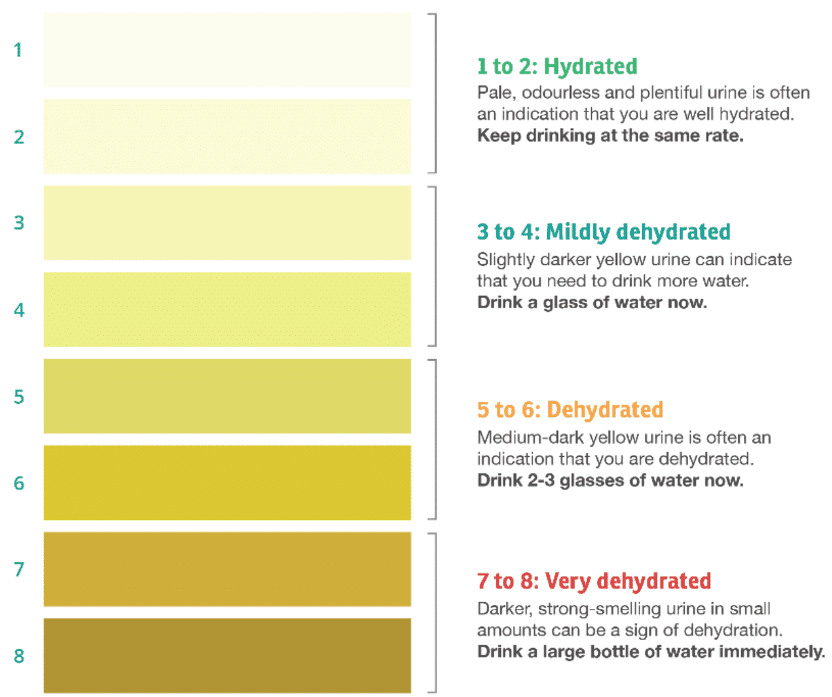 Managing And Monitoring Hydration And Nutrition For Athletes In Hot 